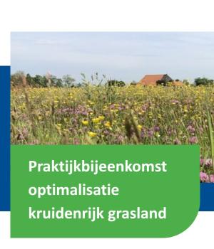 Praktijkbijeenkomst optimalisatie kruidenrijk grasland