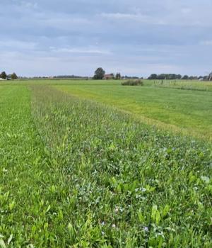 Velddemo - Projectgroep Eiwit uit het Stienzer Aldân