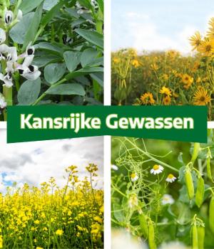 Eindsymposium Kansrijke Gewassen