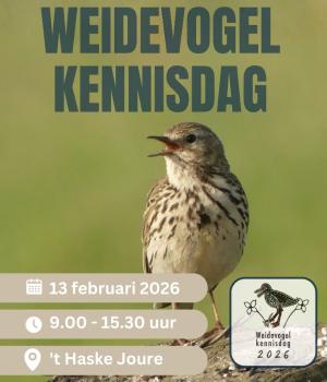 Weidevogelkennisdag