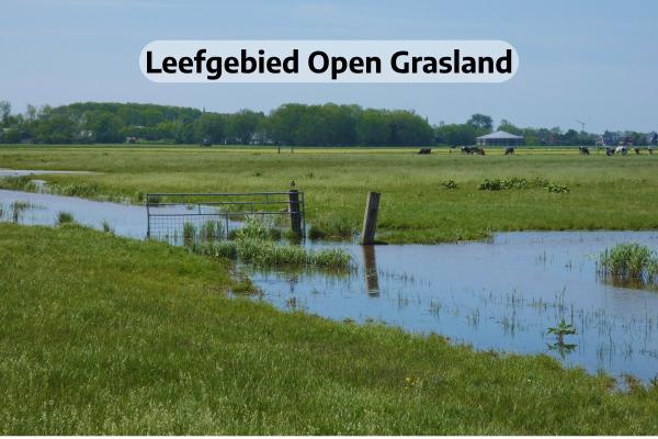 Leefgebied Open grasland