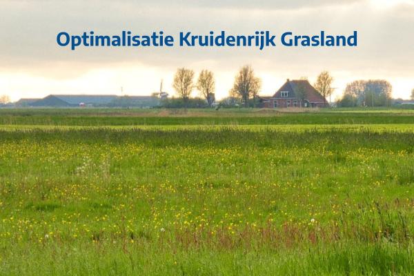 Optimalisatie Kruidenrijk Grasland