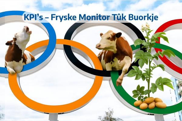 KPI’s – Fryske Monitor Tûk Buorkje