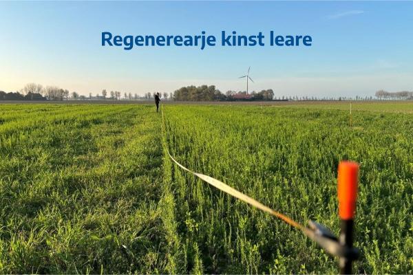 Regenerearje kinst leare