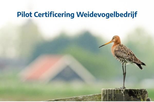 Pilot Certificering Weidevogelbedrijf