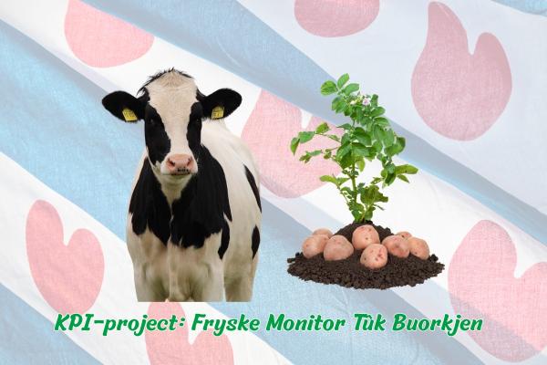 KPI’s – Fryske Monitor Tûk Buorkje