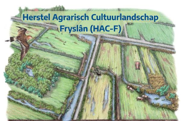 Herstel Agrarisch Cultuurlandschap Fryslân (HAC-F)