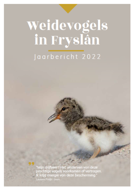 Weidevogels in Fryslân - Jaarbericht 2022