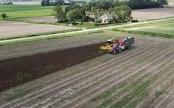 Oogsten vogelvriendelijk eiwitgewas, veldbonen
