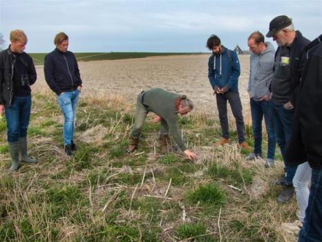 BEESPOKE, verrassend veel insecten