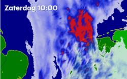 Snertweer kon de start niet bederven, akkervogeltellers trappen winterseizoen af