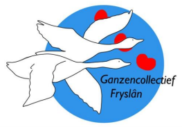 Vacature voorzitter m/v Stichting Ganzencollectief Fryslân
