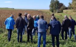 Goede opkomst bij informatiebijeenkomst agrarisch natuurbeheer in Waadhoeke