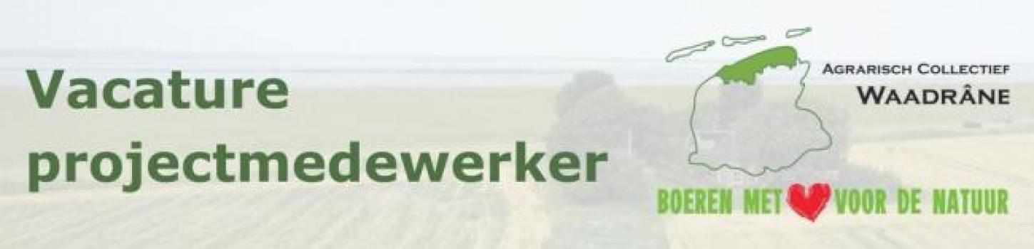 Vacature junior Projectmedewerker