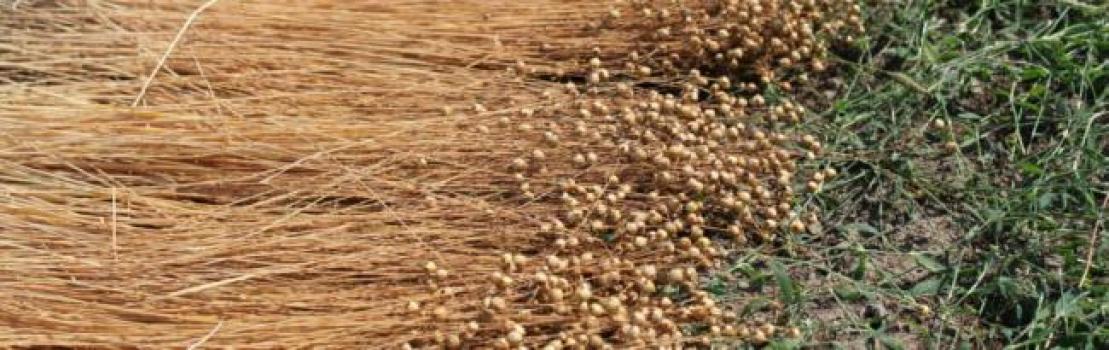 Bijeenkomst Boeren voor de Bouw