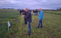 Demo bemestingsproeven kruidenrijke grasland in het Stienzer Aldlân