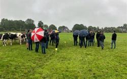 Eiwit van eigen land. Wat is mogelijk?