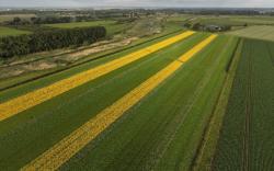 Landelijke opschaling met het Biodivers Akker Mozaïek van start