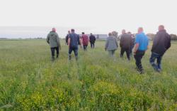 Kruidenrijk grasland: werkt, maar vraagt geduld
