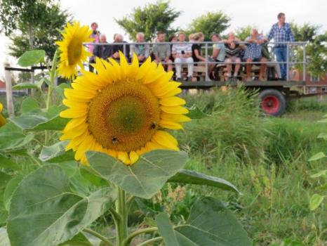 Deelnemers verrast bij schemerexcursie