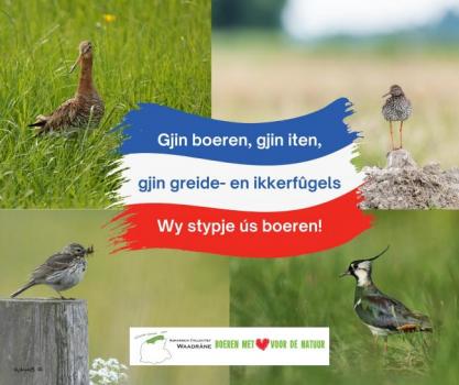 Wy stypje ús boeren!