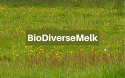 GEZOCHT: Melkveehouders in Friesland  met of zonder kruidenrijk grasland