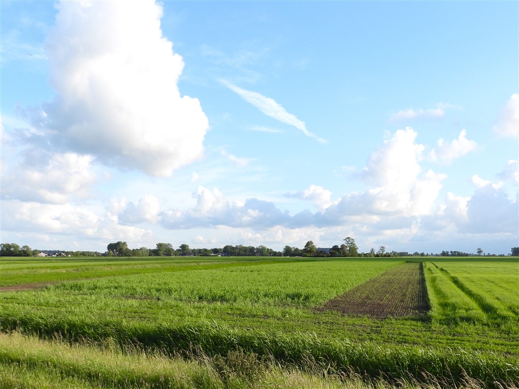 BAM-kker in Ingwierrum juni 2026